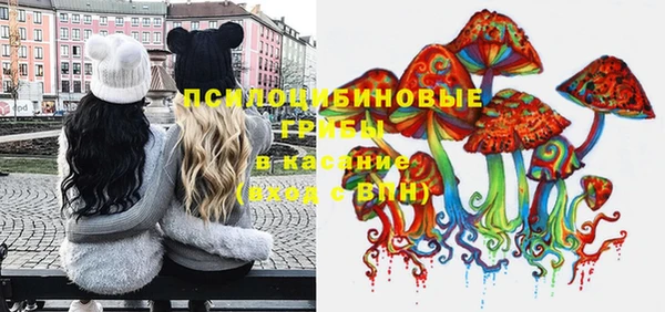 индика Алексин