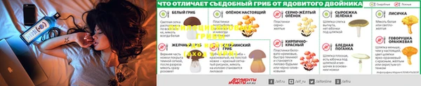 индика Алексин