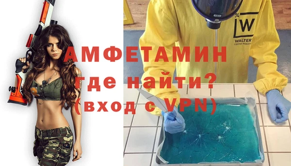 индика Алексин