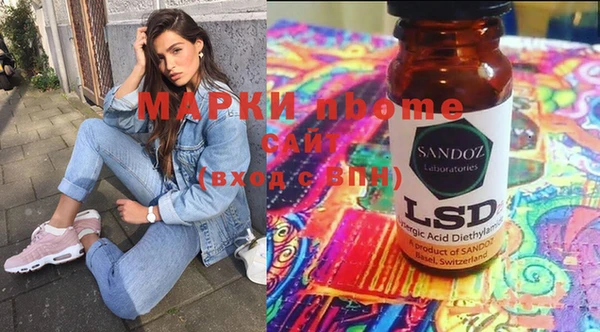 индика Алексин