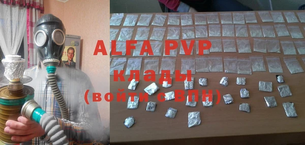 индика Алексин