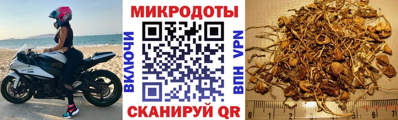 Псилоцибиновые грибы MAGIC MUSHROOMS  Краснознаменск 